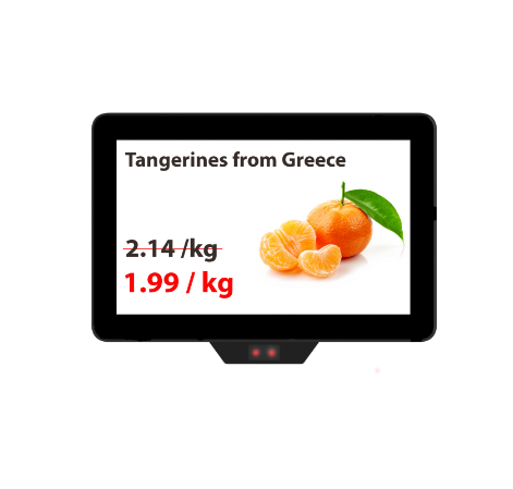 12" terminal for checking prices with a built-in 2D scanner